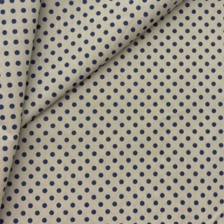 Tilda Polka Dot in Blue Creating Memories Range