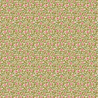 Brie green and pink