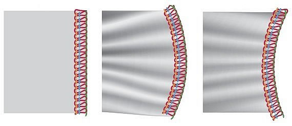 Defferential feed adjustments