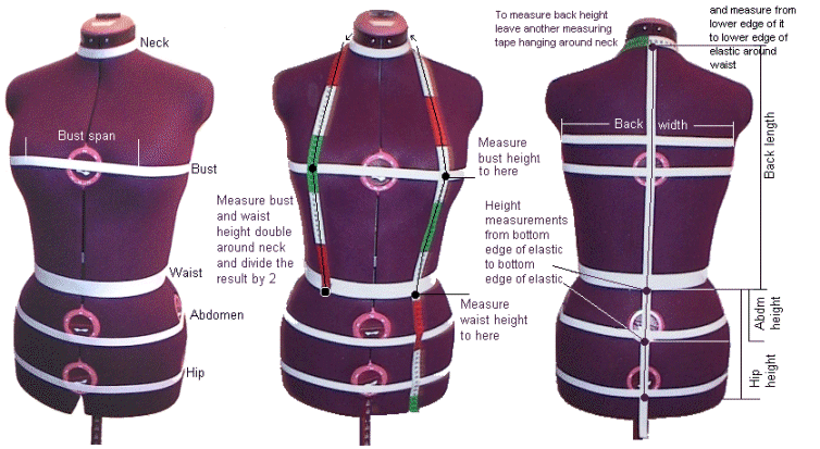 Dress form measurement guide